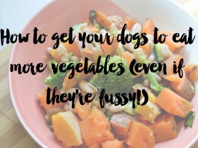 How to get your dogs to eat more vegetables (even if they’re fussy!)