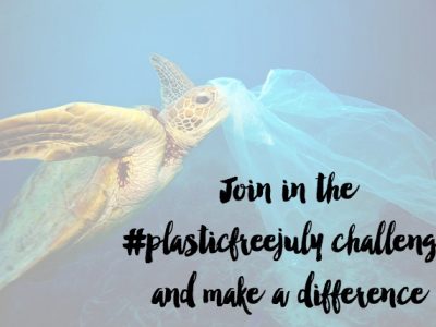 How to Join in the #plasticfreejuly Challenge! And Tips to Make a Difference