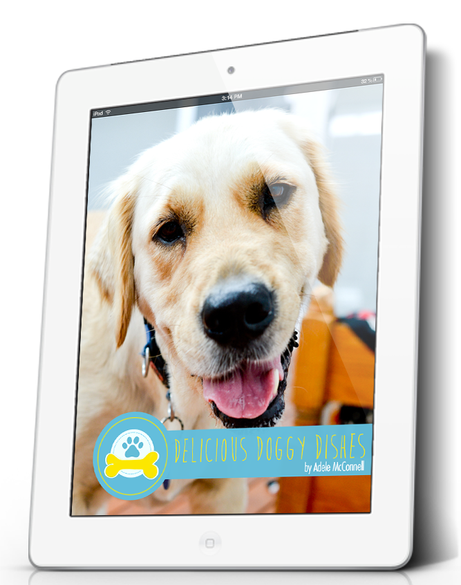 Delicious Doggy Dishes eBook